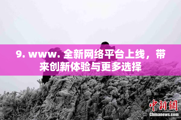 9. www. 全新网络平台上线，带来创新体验与更多选择
