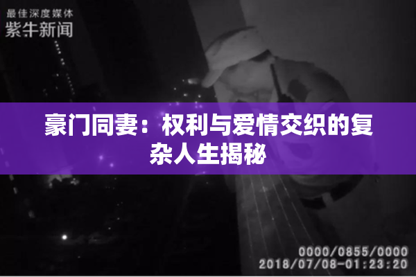 豪门同妻：权利与爱情交织的复杂人生揭秘