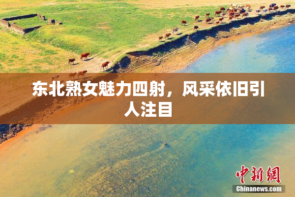 东北熟女魅力四射，风采依旧引人注目