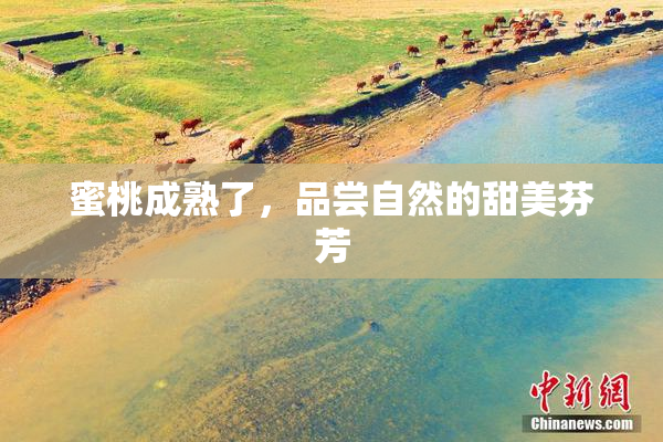 蜜桃成熟了，品尝自然的甜美芬芳
