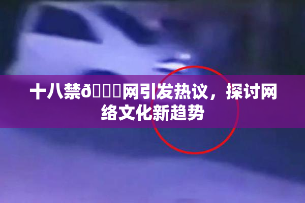 十八禁🔞网引发热议，探讨网络文化新趋势