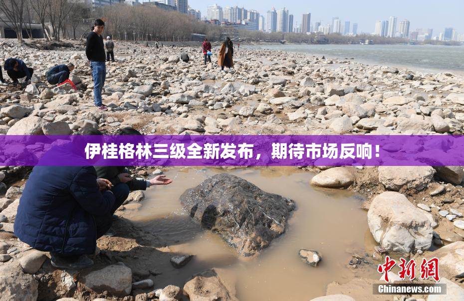 伊桂格林三级全新发布，期待市场反响！