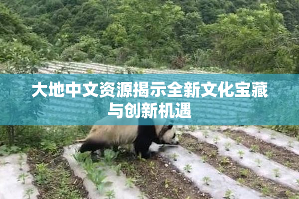 大地中文资源揭示全新文化宝藏与创新机遇