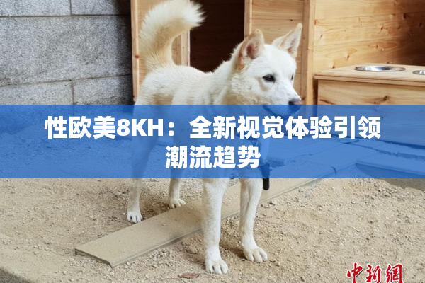 性欧美8KH：全新视觉体验引领潮流趋势