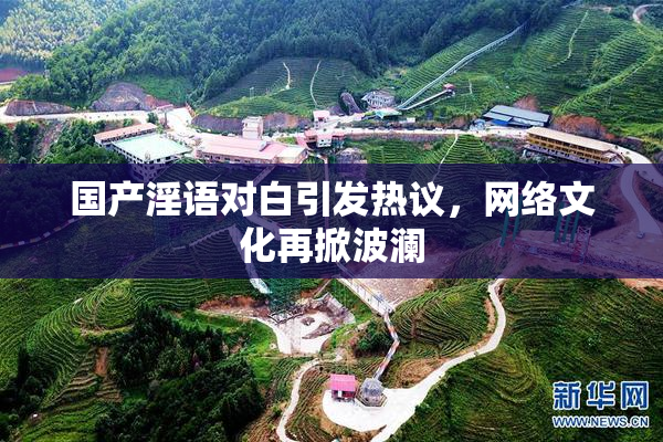 国产淫语对白引发热议，网络文化再掀波澜