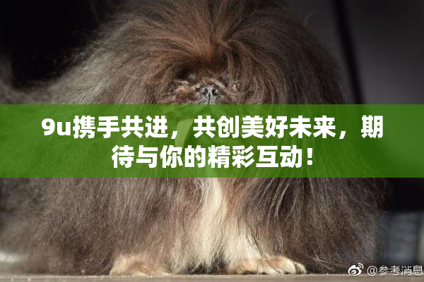 9u携手共进，共创美好未来，期待与你的精彩互动！