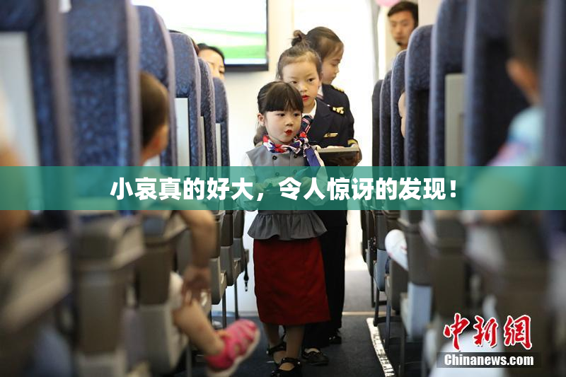 小哀真的好大，令人惊讶的发现！