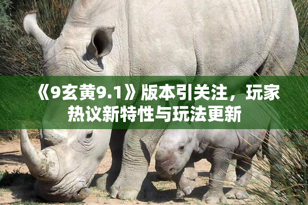 《9玄黄9.1》版本引关注，玩家热议新特性与玩法更新