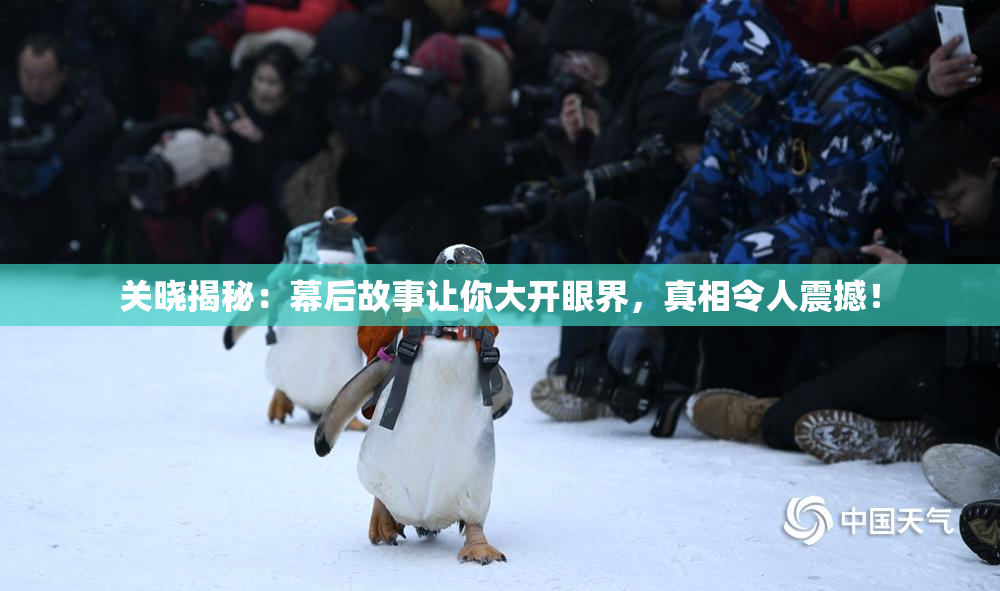 关晓揭秘：幕后故事让你大开眼界，真相令人震撼！