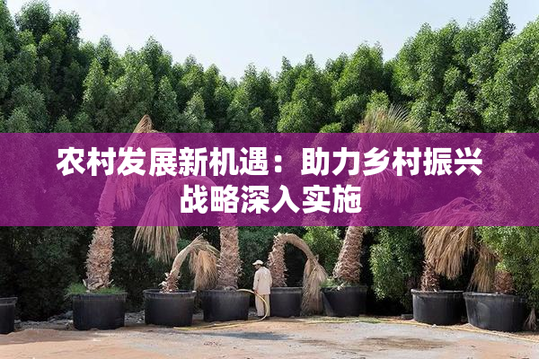 农村发展新机遇：助力乡村振兴战略深入实施
