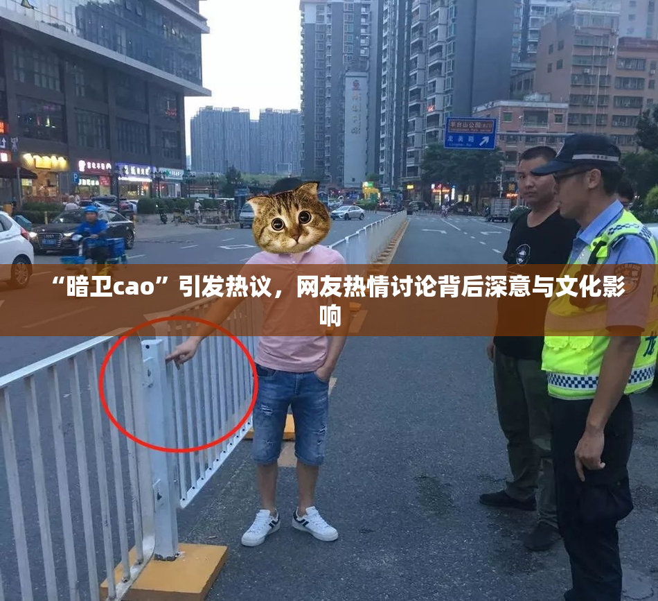 “暗卫cao”引发热议，网友热情讨论背后深意与文化影响