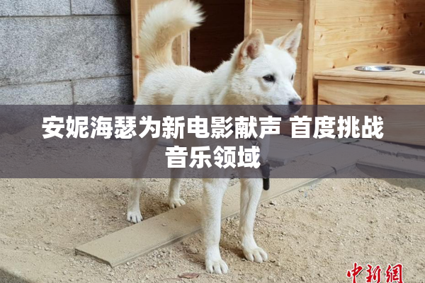安妮海瑟为新电影献声 首度挑战音乐领域