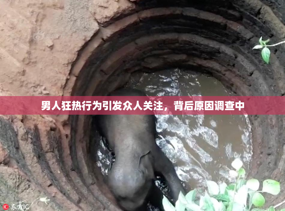男人狂热行为引发众人关注，背后原因调查中