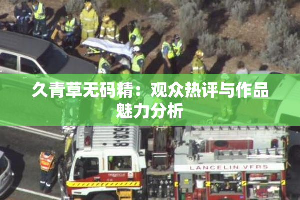 久青草无码精：观众热评与作品魅力分析