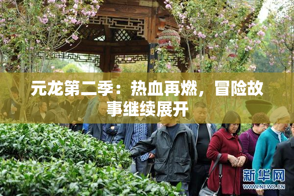 元龙第二季：热血再燃，冒险故事继续展开
