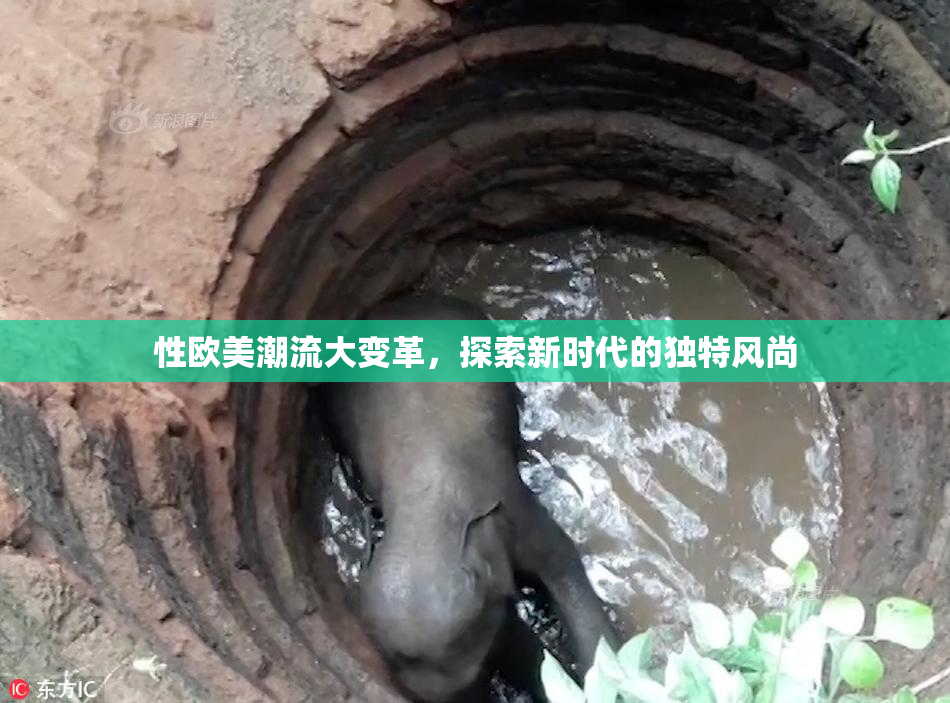 性欧美潮流大变革，探索新时代的独特风尚