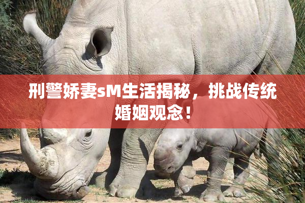 刑警娇妻sM生活揭秘，挑战传统婚姻观念！