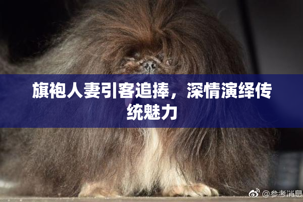 旗袍人妻引客追捧，深情演绎传统魅力