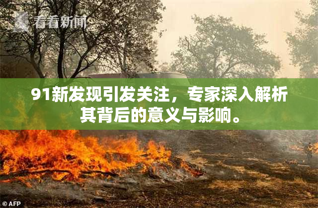 91新发现引发关注，专家深入解析其背后的意义与影响。