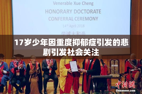 17岁少年因重度抑郁症引发的悲剧引发社会关注