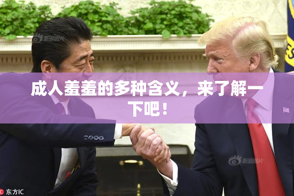 成人羞羞的多种含义，来了解一下吧！