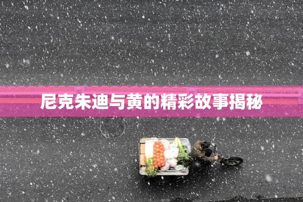 尼克朱迪与黄的精彩故事揭秘
