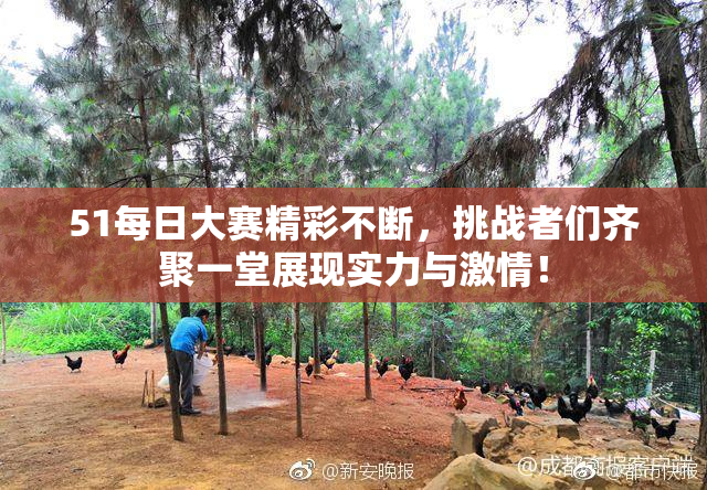 51每日大赛精彩不断，挑战者们齐聚一堂展现实力与激情！