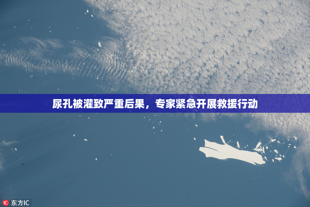 尿孔被灌致严重后果，专家紧急开展救援行动