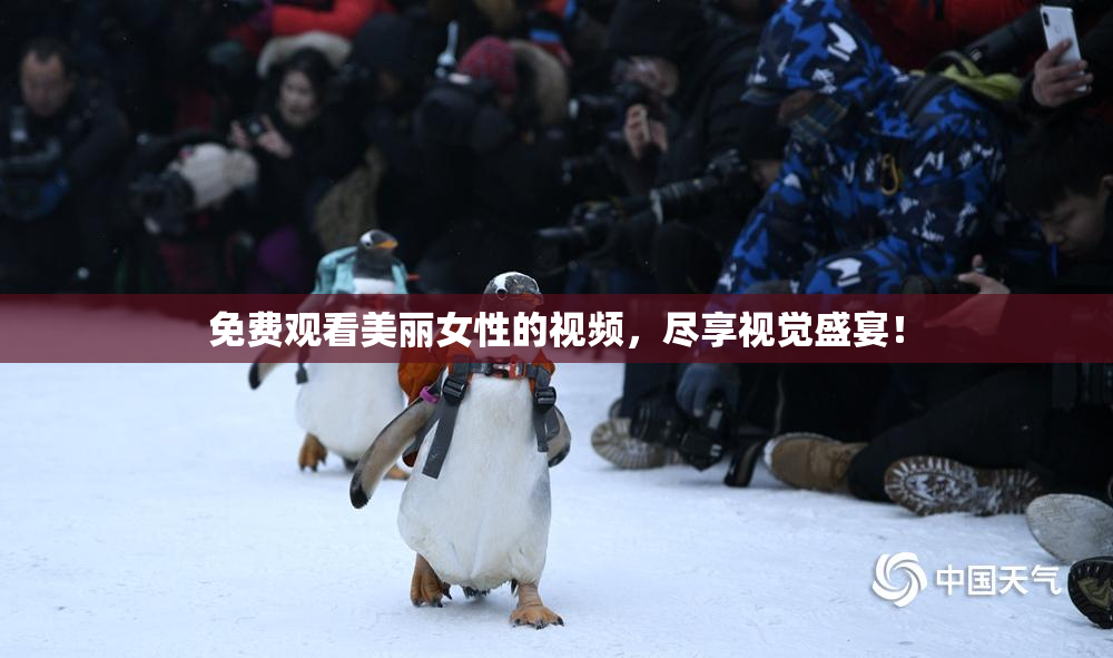 免费观看美丽女性的视频，尽享视觉盛宴！