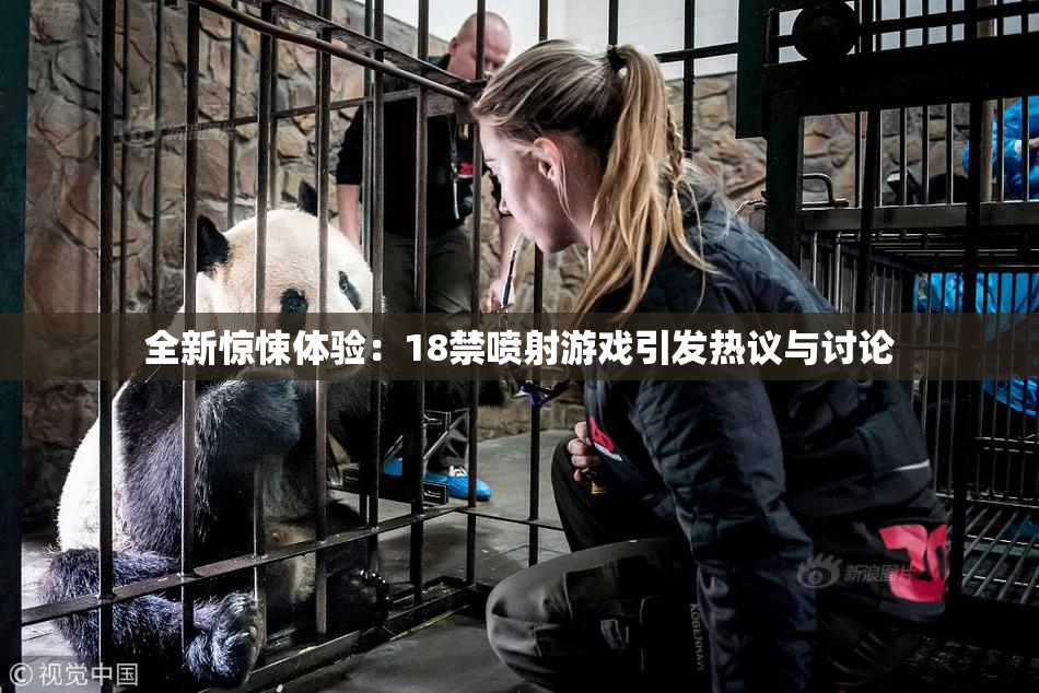 全新惊悚体验：18禁喷射游戏引发热议与讨论