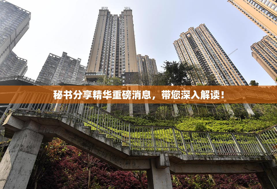 秘书分享精华重磅消息，带您深入解读！