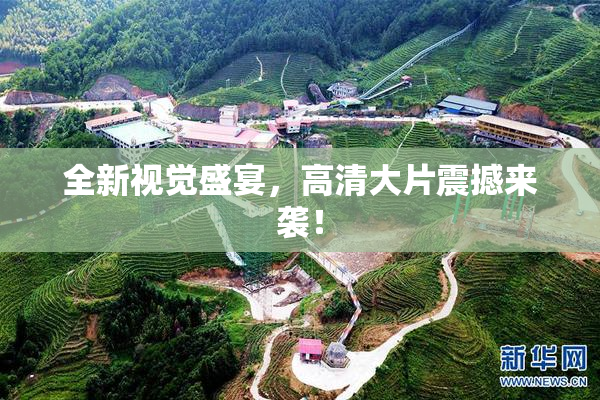 全新视觉盛宴，高清大片震撼来袭！