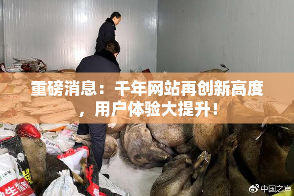 重磅消息：千年网站再创新高度，用户体验大提升！
