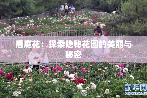 后庭花：探索隐秘花园的美丽与秘密