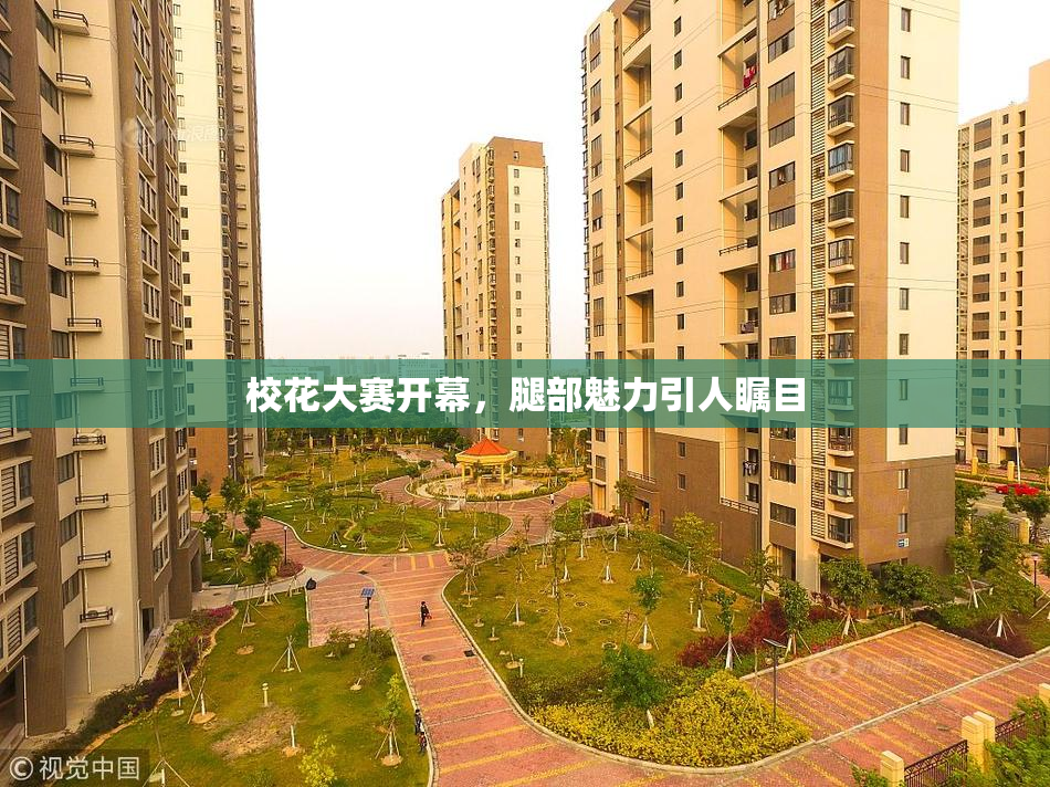 校花大赛开幕，腿部魅力引人瞩目