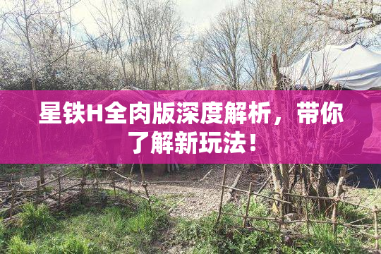 星铁H全肉版深度解析，带你了解新玩法！