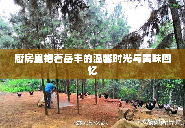 厨房里抱着岳丰的温馨时光与美味回忆