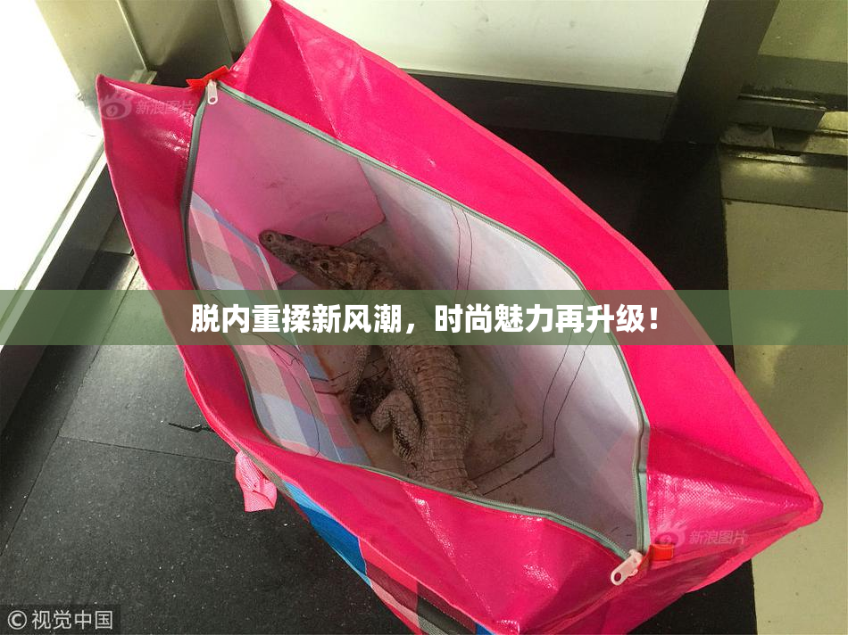 脱内重揉新风潮，时尚魅力再升级！