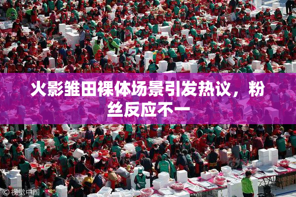 火影雏田裸体场景引发热议，粉丝反应不一