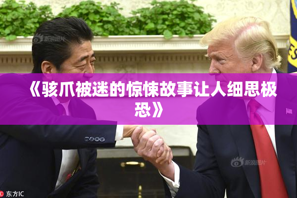 《骇爪被迷的惊悚故事让人细思极恐》