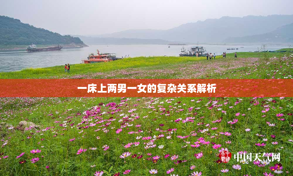 一床上两男一女的复杂关系解析
