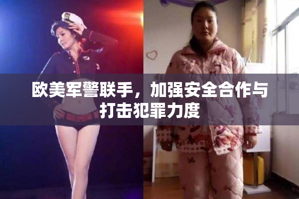欧美军警联手，加强安全合作与打击犯罪力度