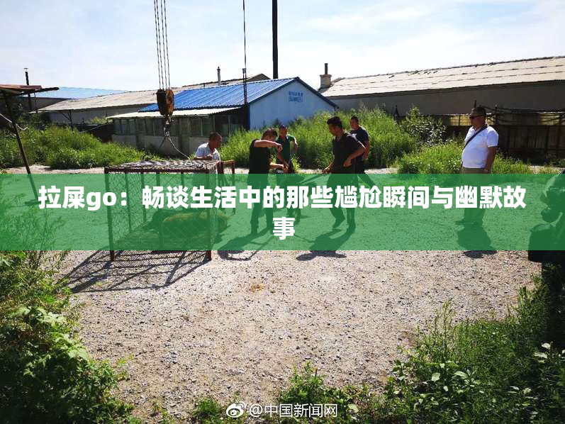 拉屎go：畅谈生活中的那些尴尬瞬间与幽默故事