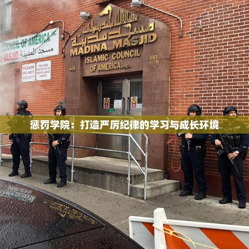 惩罚学院：打造严厉纪律的学习与成长环境