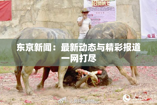 东京新闻：最新动态与精彩报道一网打尽