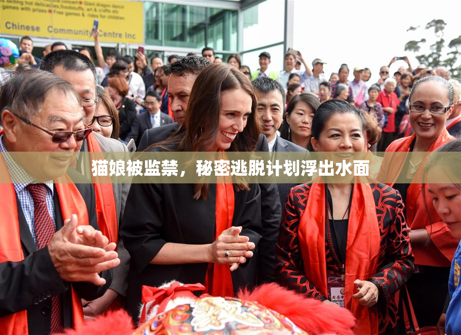 猫娘被监禁，秘密逃脱计划浮出水面