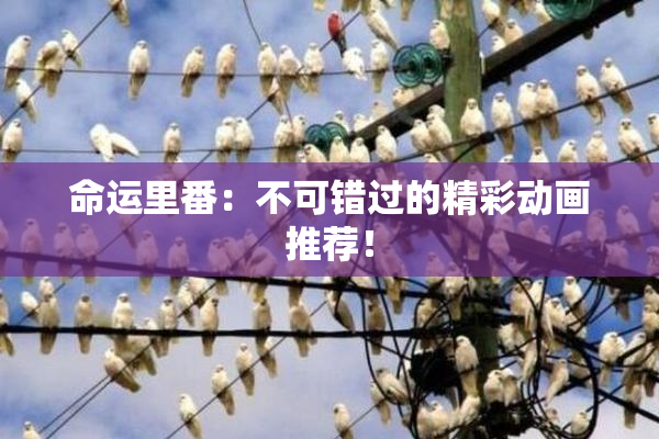 命运里番：不可错过的精彩动画推荐！