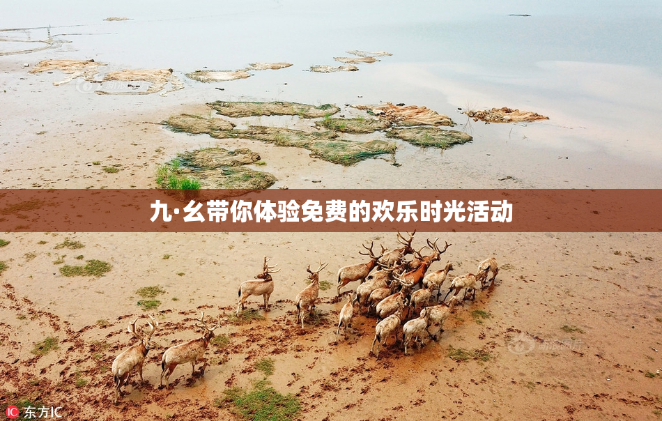 九·幺带你体验免费的欢乐时光活动