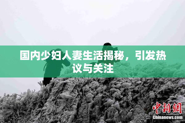 国内少妇人妻生活揭秘，引发热议与关注