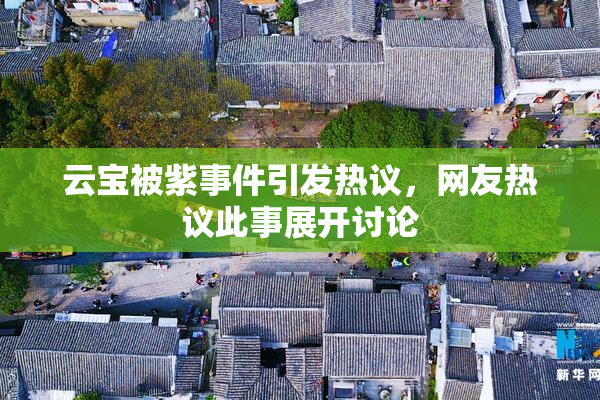 云宝被紫事件引发热议，网友热议此事展开讨论
